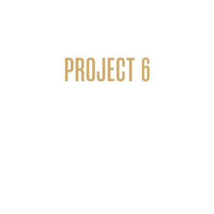 PROJECT 6