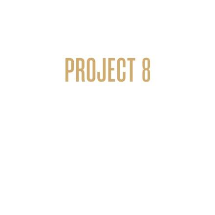 PROJECT 8