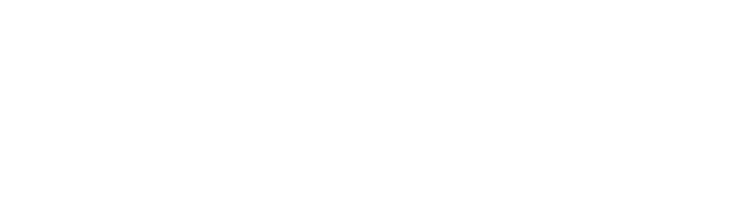 NITRO PLUS