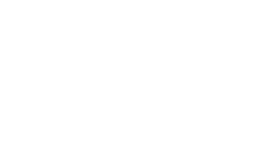 Steam&reg;